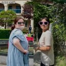 선샤인 피티샵 네이버블로그
