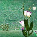 순환의바람으로부터 이미지