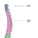 내몸살리는필라테스 이미지