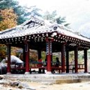 금란정 네이버블로그