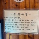[하동] 촌캉스도 즐기고 핀란드사우나도 즐기고 지리산계곡펜션 아름다운산골