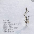 박노해시인의 걷는 독서 나누어요ㆍ 이미지