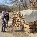 소나무푸드 이미지