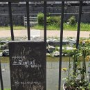 소로3-세천06 | [공주 제민천 카페] 소로빵집 제민천길 산책 코스로 들르기 좋은 빵지순례 내돈내산 후기