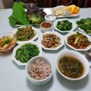 열무농장 이미지