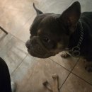 첵앤아웃호스텔 이미지