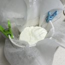 댕댕하동 이미지