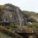 산수정 이미지