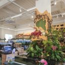 엔젤아쿠아펫가든 이미지