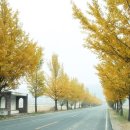 경주남산한의원 이미지