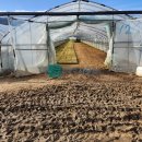 경기공인행정사사무소 이미지