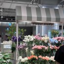 캔들웍스하우스 이미지