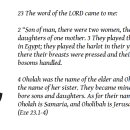 에스겔 23장/우리말성경/ Ezekiel 23/그들은 나와의 사이에서 아들들과 딸들을 낳았다. 그들의 이름을 말하자면 오홀라는 사마리아 이미지