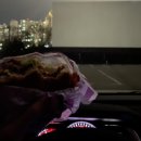 한국맥도날드(유) 용인보라DT점 | <용인 자동차 극장> 리얼 후기, 꿀팁, 미리 알아야할 정보