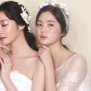 헬레나헤어라인