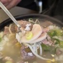 여수 해장국 맛집 광장국밥 바지락 돼지국밥과 서대무침수육 후기