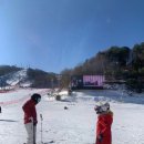 휘닉스파크 이미지