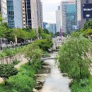 소소한향기 | 10월 첫째 주 소소한 일상 후기