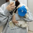 댓고개 | 나우모어댓 세상에 단 하나뿐인 쪼이 커스텀 맨투맨 후기