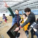 임자초등학교 이미지