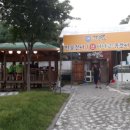 싱싱오동도