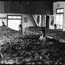 옛날예적에 이미지