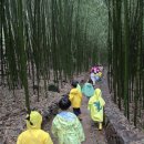 대청유치원 이미지