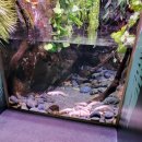 송파 사슴 농장 | 송파, 만5세 아이와 평일 잠실 롯데월드 아쿠아리움 후기