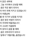 나의 꿈은 맑은 바람이 되어서 이미지