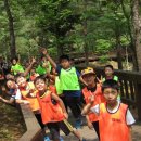 솔향태권도 이미지