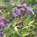 용담농장 이미지