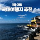 고목목장 | 1월 국내여행지 추천 BEST 5