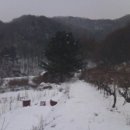 영농농장 이미지