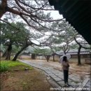 냉천2(안쪽) 이미지