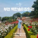 부천 종합운동장역(4번 출구) | 부천 백만송이장미원 장미축제 개화시기 데이트코스 가볼만한곳