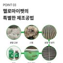 헬로멍뭉 이미지