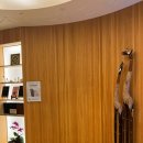 계룡로(유성온천역-만년교) 이미지