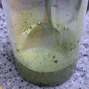 카페마차 이미지