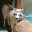 덕진체련공원 테니스장 이미지