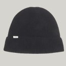 덴스트