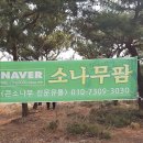 큰소나무농장 이미지