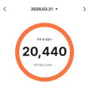 시범경기 보러간 김에 망곰베어스 버추얼런 VRUN 7KM 완주후기 26.03.21