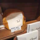 이토스터 이미지