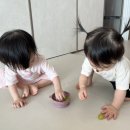 YMCA어린이집 이미지