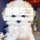 마이도그 강아지분양 울산본점 이미지