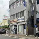 파도마을 삼냥이네 | 국내여행 | 구례 하동 2박3일 (구례5일장, 파도마을삼냥이네, 쌍산재, 섬진강대나무숲길, 정금차밭...