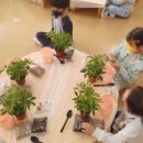 해솔 초등학교 병설유치원 이미지