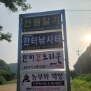 장수돌판김치 이미지