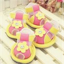 해바라기 애견 이미지