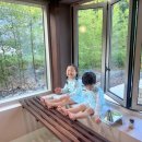 메종드시고르 이미지